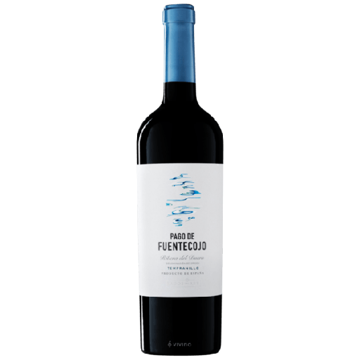 Fuentecojo Pagos del Rey Crianza 2017 75 cl. Ribera