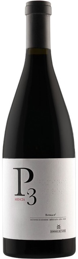 Dominio de Tares-P3 Reserva 2008 (75 cl.) Bierzo
